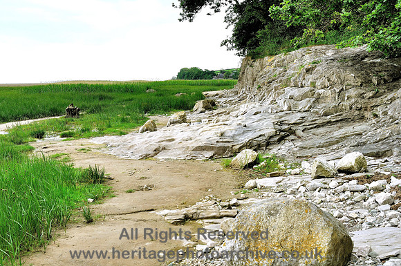 HRS 7055 Bardsea, Wave platform and exposure Urswick Limestone