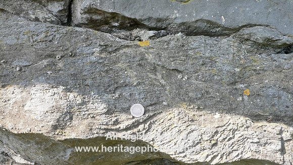 HRS 1561 Carboniferous, Radholme Quarry, Whitewell