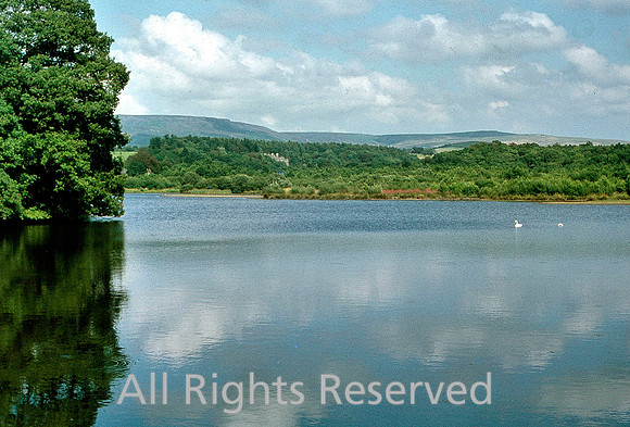 Abbeystead lake 1976