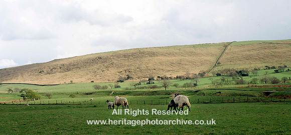 HRS 1599 Sabden, Pendle, lambing time 1980s
