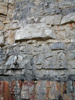 HRS 7588 Halkyn, Pant Quarry limestone section