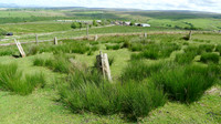 HRS 8012 The stoop circle Roeburndale