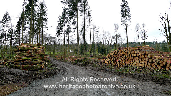 HRS 10776 Cartmel, Storm Arwen clearance area 2022