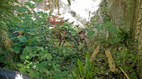 HRS 360 Bodorgan old house waterwheel