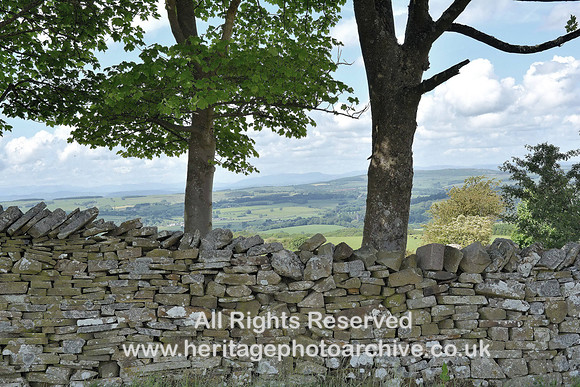 HRS 8003 Roeburndale, Dry Stone Wall  common boundary