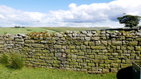 HRS 8022 Haylot farm drystone wall