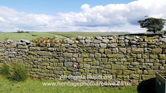 HRS 8022 Haylot farm drystone wall