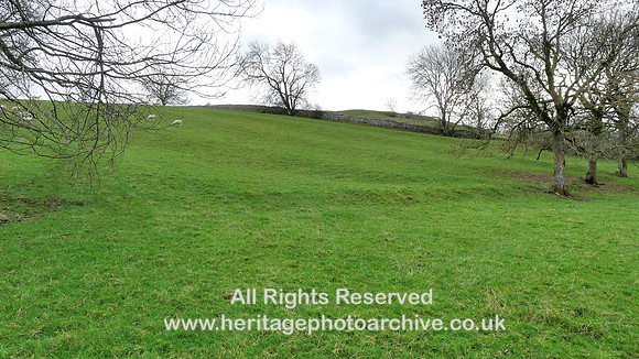 HRS 9874 Great Asby, ridge and furrow L1180787