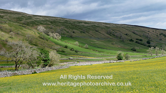 HRS 108916 Littondale, spring meadow
