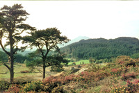 HRS 4250 Cyffty Mine Llanrwst 1966