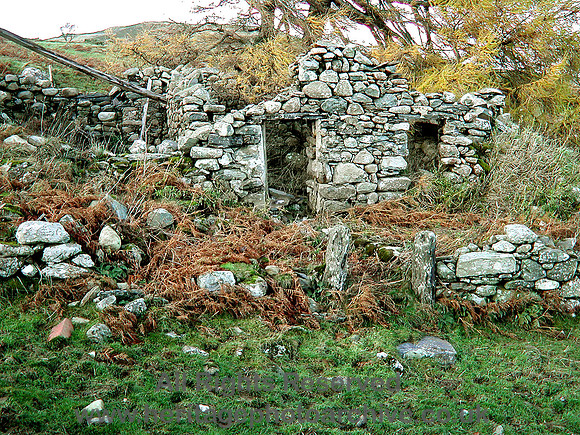 HRS 1213 Llanbedr-y-cennin,  Onen Ebryd