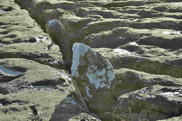 HRS 686 Glacial erratic embedded in Birkrigg pavement