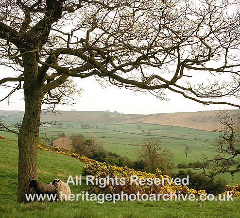 HRS 1587 Sabden, Pendle, Hey Barn Farm 1980s