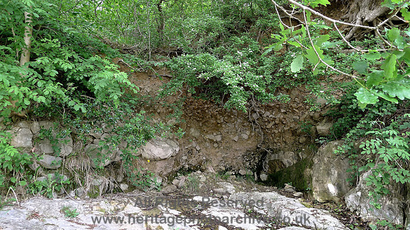 HRS 7057 Bardsea, Sea Wood, Till with angular erratics on Urswick Limestone