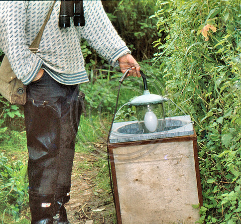 Moth trap