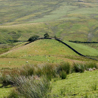 HRS 8019 Swaintley Hill enclosure
