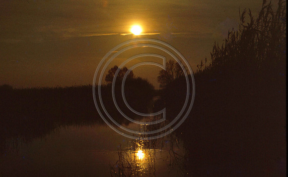 Sun-reflected-in-dike