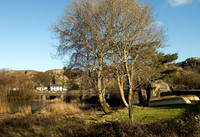 HRS 6094  North end of Llyn Padarn 2009