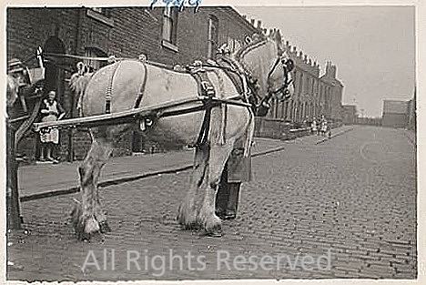 Radcliffe, Horse-drawn milk float 1949
