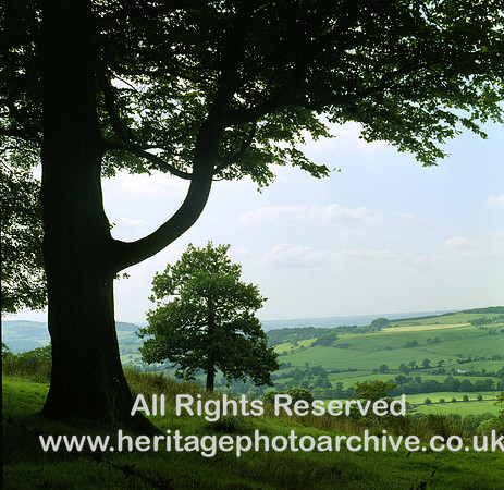 HRS 1596 Sabden, Pendle, near Read Bridge