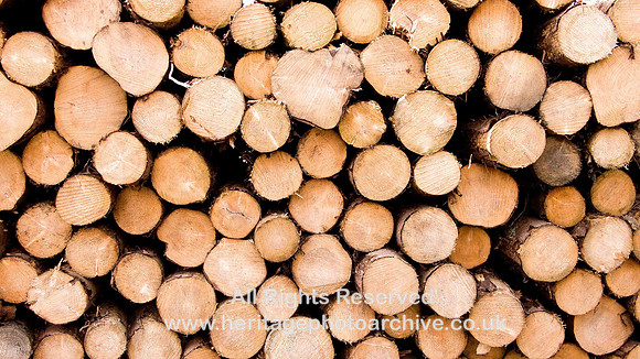 HRS 601 Logs Arenig Fawr