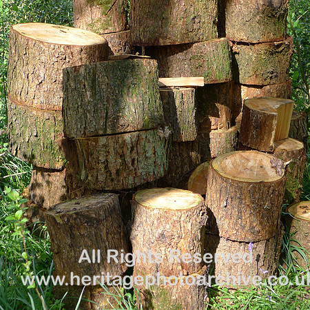HRS 2257 Bouth, Haybridge Nature Reserve, Logs