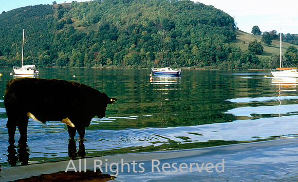 Watering place Ullswater 1994