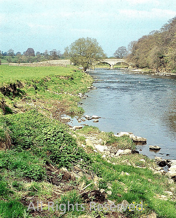 Ribble near West Bradford 1976