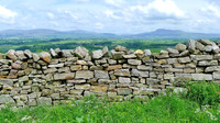 HRS 8009 Roeburndale, drystone wall Ingleborough