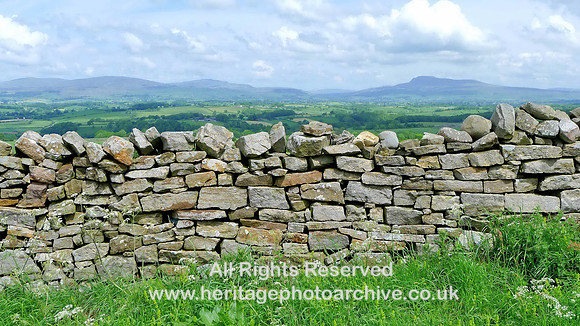 HRS 8009 Roeburndale, drystone wall Ingleborough