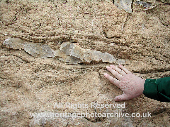 HRS 7590, Halkyn, Pant Quarry chert