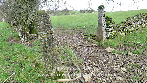 HRS 9873 Great Asby gill, field stoops of limestone L1180785