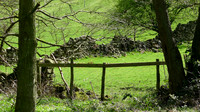 HRS 8906 Bencarn, derelict dry stone wall near valley L1150296
