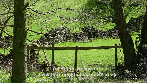 HRS 8906 Bencarn, derelict dry stone wall near valley L1150296