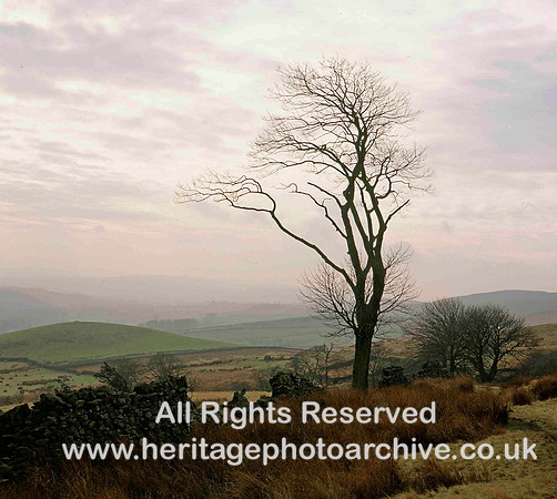HRS 1591 Sabden, Pendle, Calf Hill from near Craggs