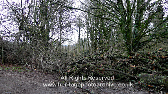 HRS 10777 Cartmel, Storm Arwen, Trees blocking road