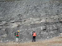HRS 7593 Halkyn, Pant Quarry shale