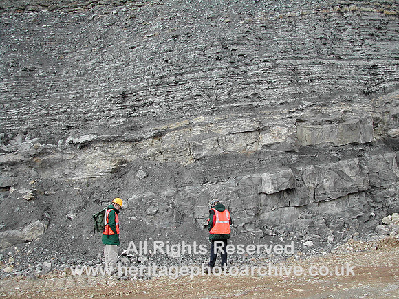 HRS 7593 Halkyn, Pant Quarry shale