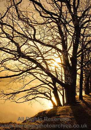 HRS 507 Coniston - Morning light
