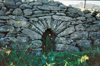 Vaulted Hogghole  July 1990