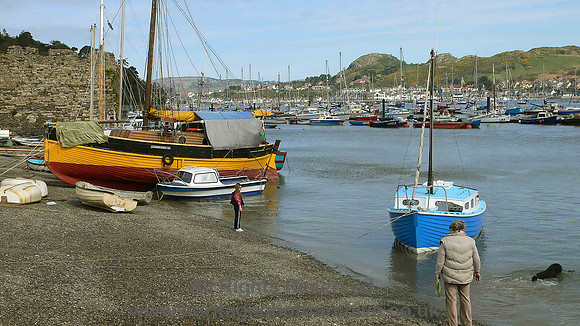 HRS 224 Conwy quay boats