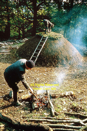 Charcoal-burners at work