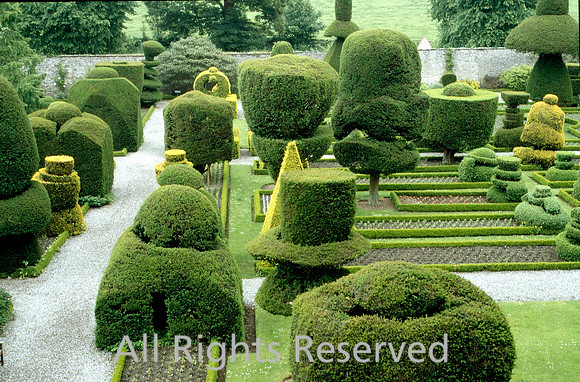 Levens Hall, garden topiary