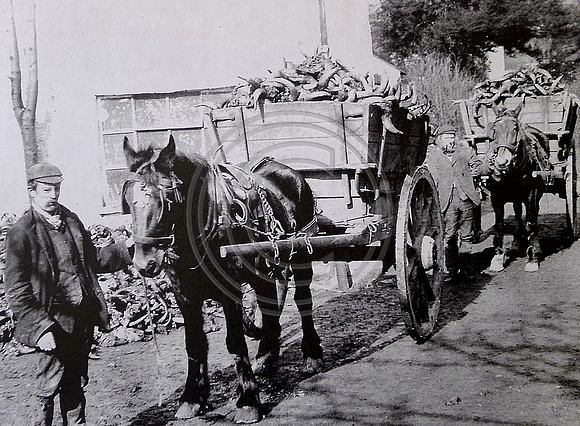 Milnthorpe Mill, Horn being transported to the Mill 1908